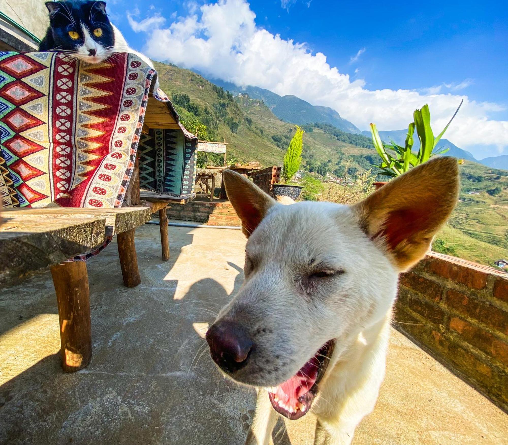 Pham'S House - Homestay & Cafe Sapa Exteriör bild