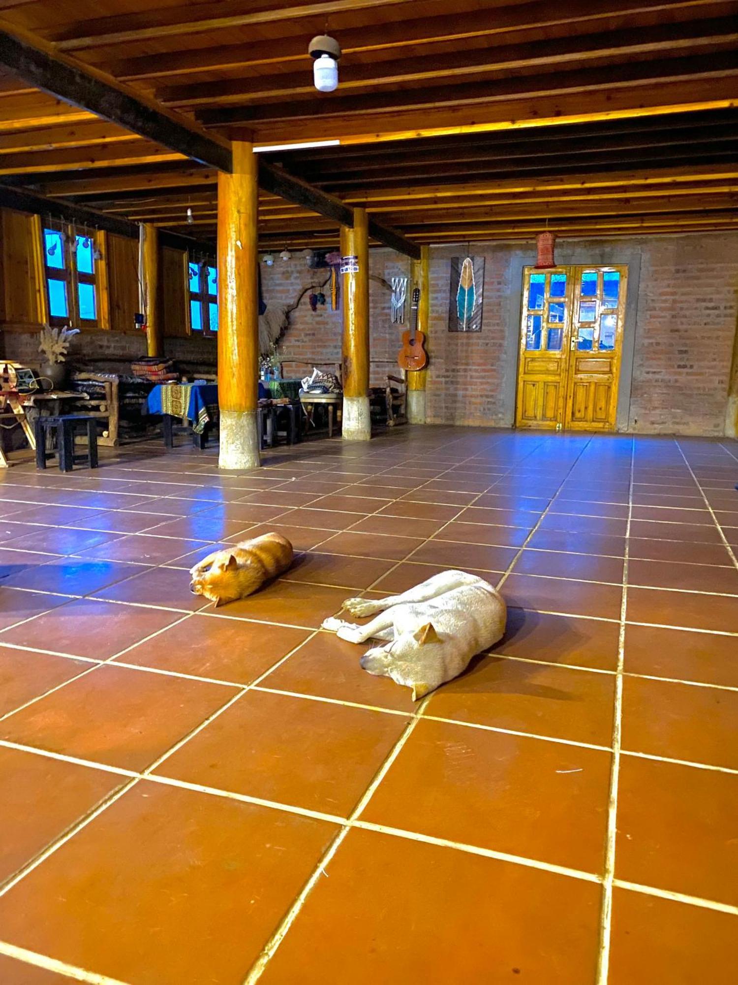 Pham'S House - Homestay & Cafe Sapa Exteriör bild