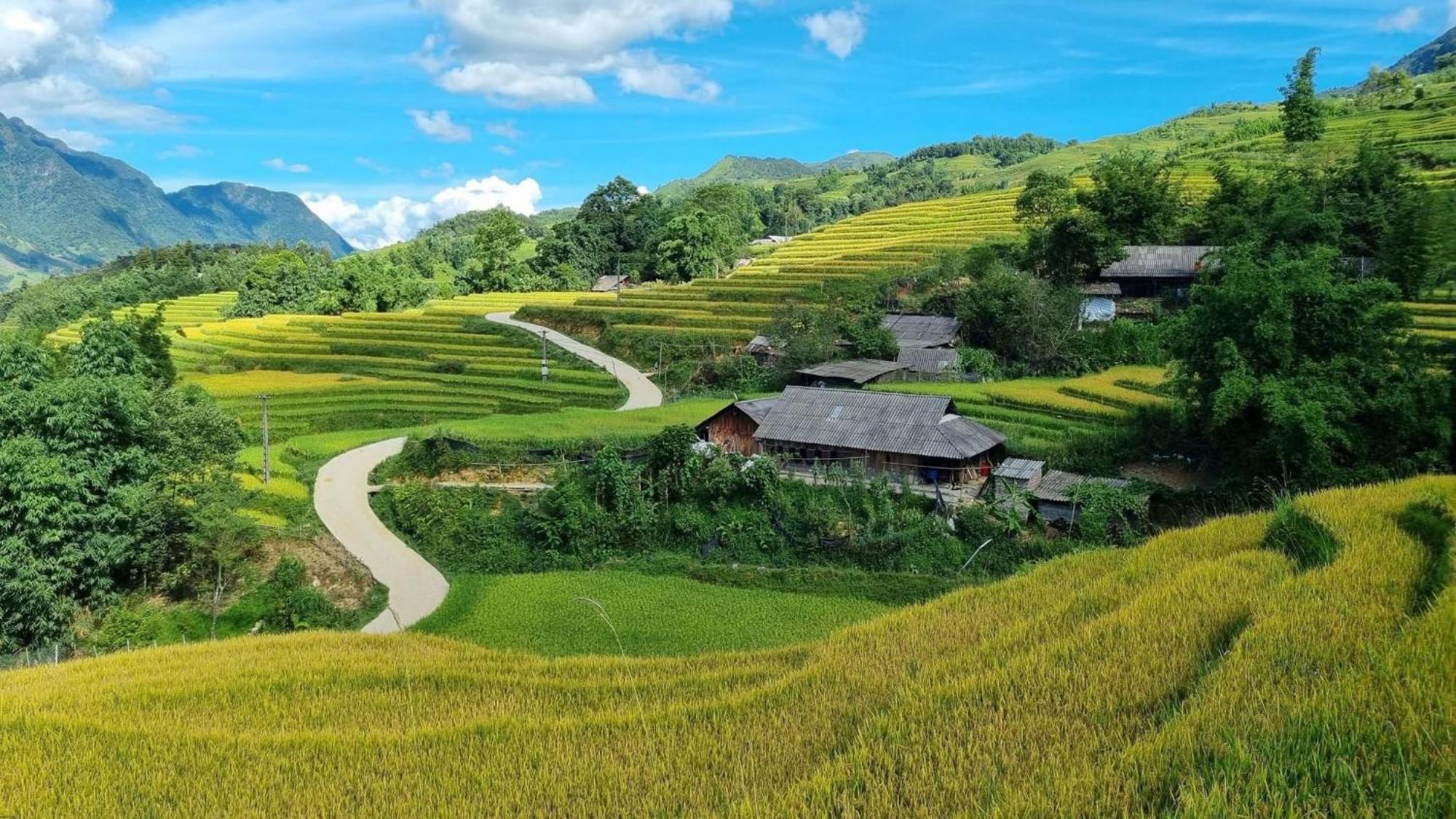 Pham'S House - Homestay & Cafe Sapa Exteriör bild