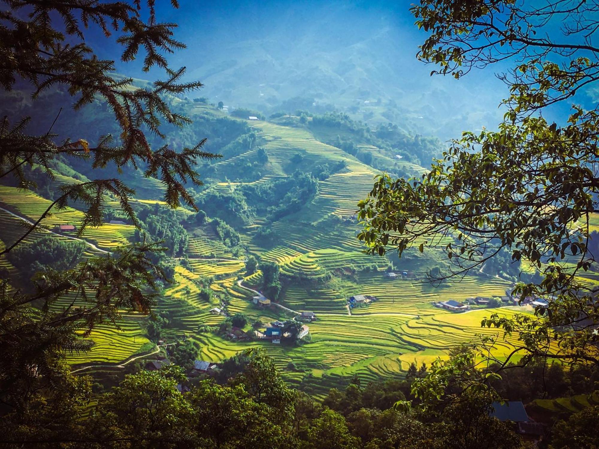 Pham'S House - Homestay & Cafe Sapa Exteriör bild